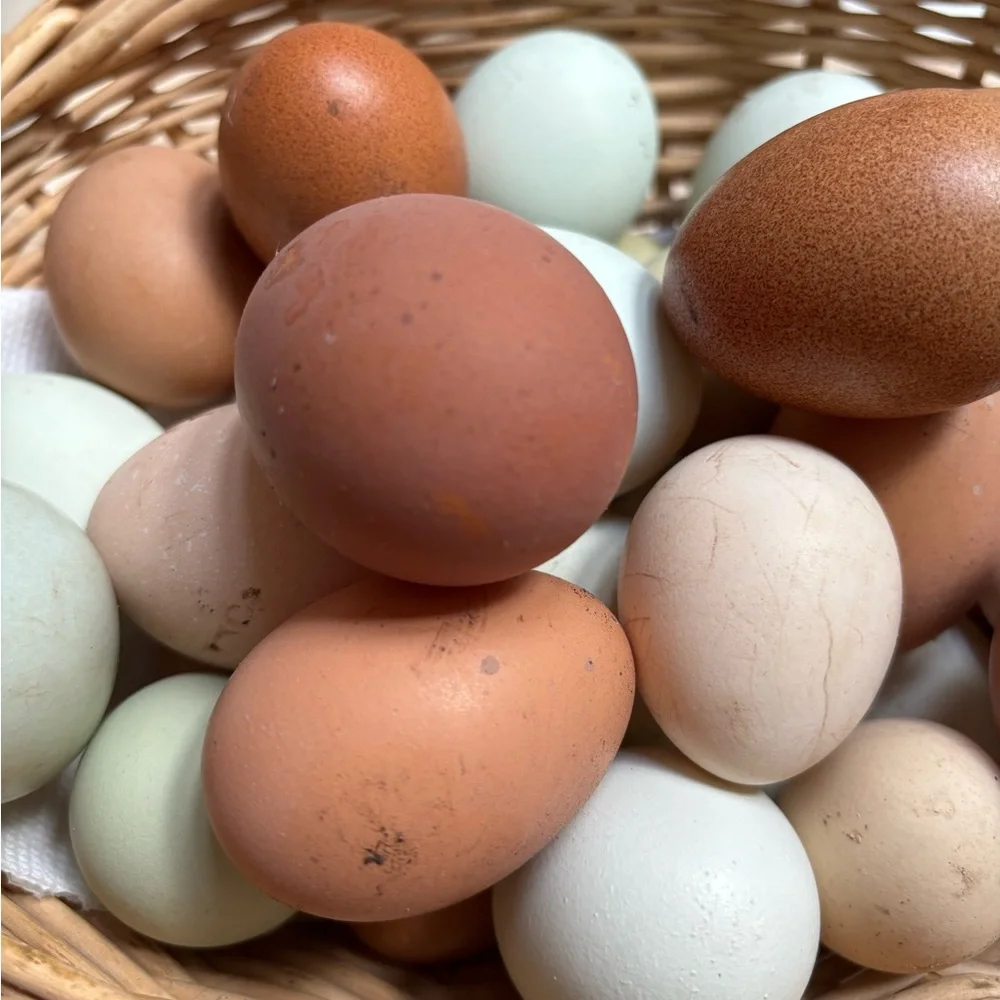 Hatching eggs 🪺 - Picture 9 of 15
